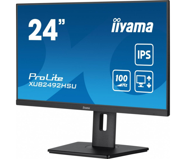 iiyama ProLite XUB2492HSU-B6 - 1193573 - zdjęcie 12